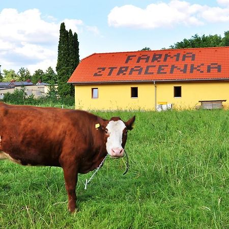 Farma Ztracenka Hotel Porici nad Sazavou Eksteriør billede