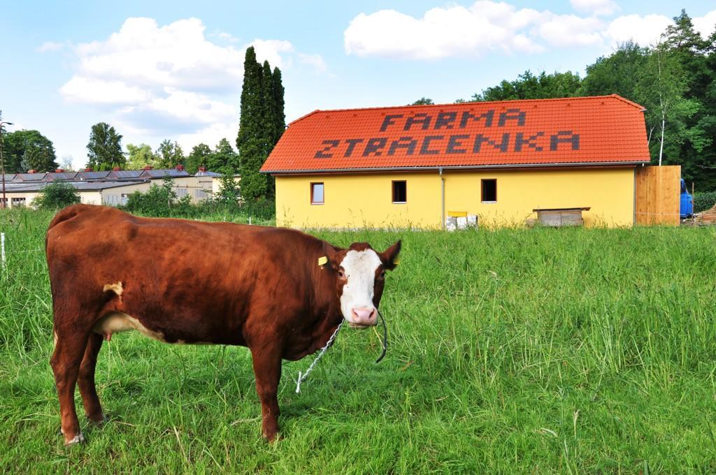 Farma Ztracenka Hotel Porici nad Sazavou Eksteriør billede