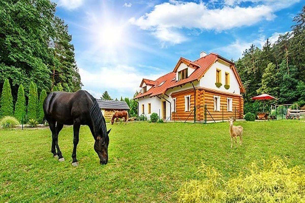 Farma Ztracenka Hotel Porici nad Sazavou Eksteriør billede